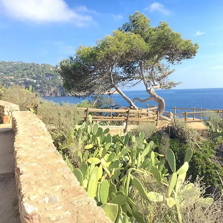 Puig Artigas 2 Apartamento Calella De Palafrugell