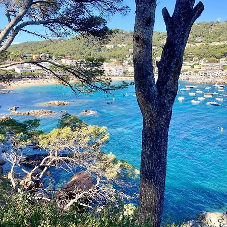 Puig Artigas 2 * Calella De Palafrugell